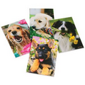 Dog Memo Pads